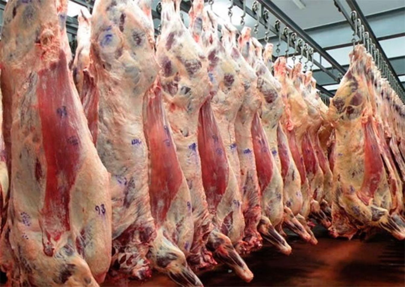 Por la fuga del asado a China, subirían las retenciones a la carne