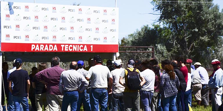 Jornada a Campo: El IPCVA reúne al sector en Río Cuarto el Jueves 19 de Marzo