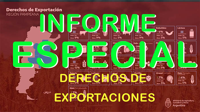 Informe especial: Derechos de exportación 2020