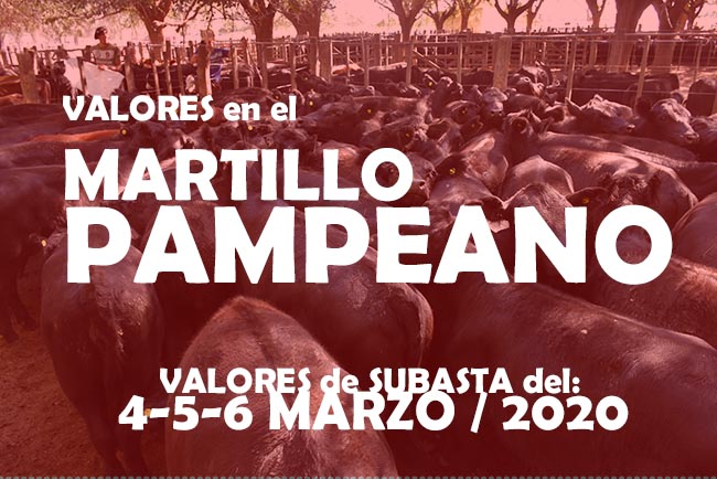 Martillo Pampeano: Valores de los remates pampeanos del 4 al 6 de Marzo 2020