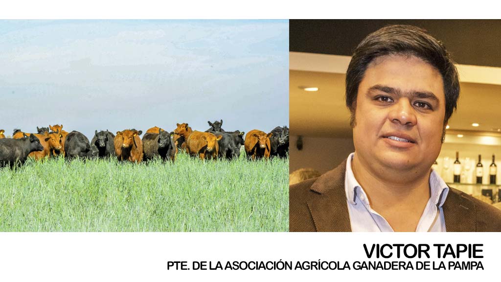 Entrevista: Victor Tapie nos habló del Paro Comercial del sector