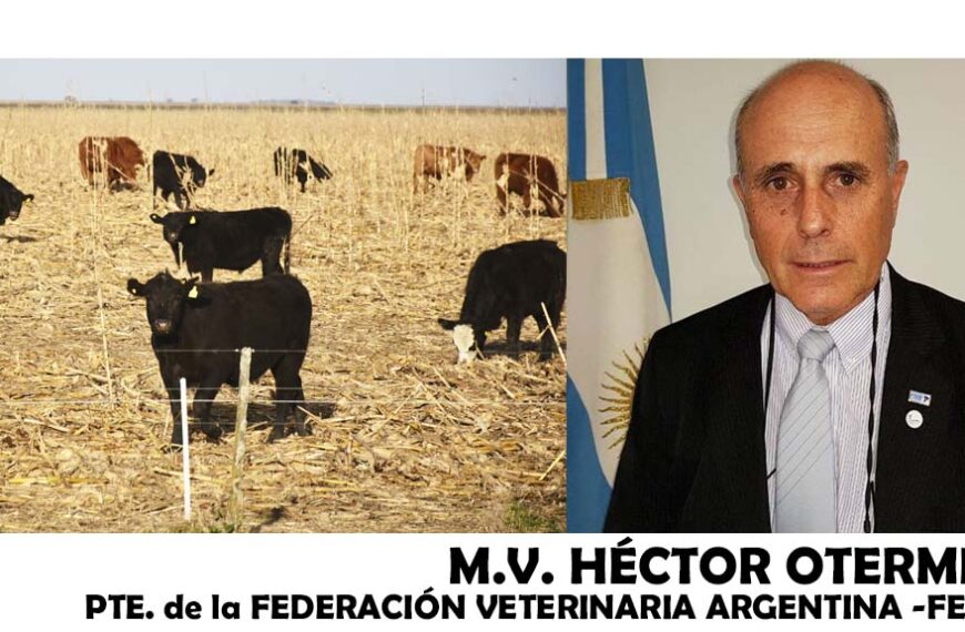 Entrevista: Héctor Otermin nos remarca que los veterinarios son también agentes sanitarios