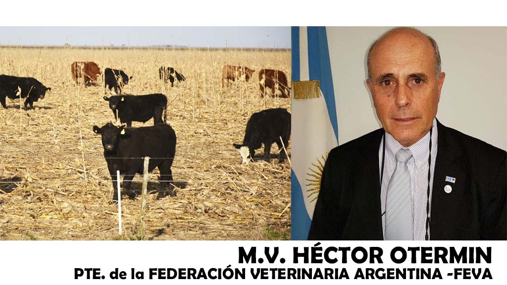Entrevista: Héctor Otermin nos remarca que los veterinarios son también agentes sanitarios