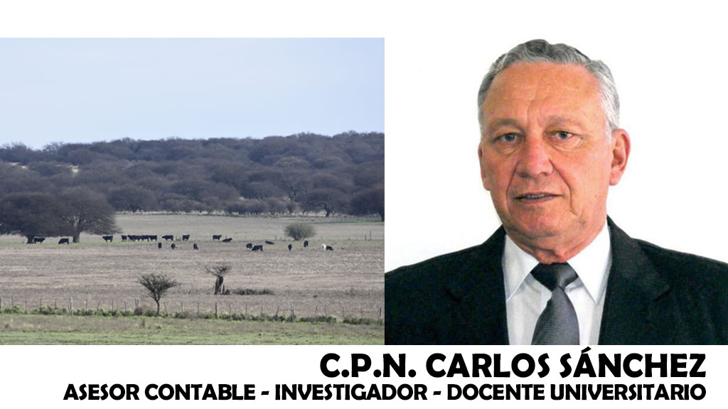 Entrevista: C.P.N. Carlos Sánchez detalla medidas que aún faltan incorporar