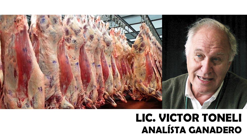 Entrevista: Victor Tonelli nos brindó su visión del mercado ganadero