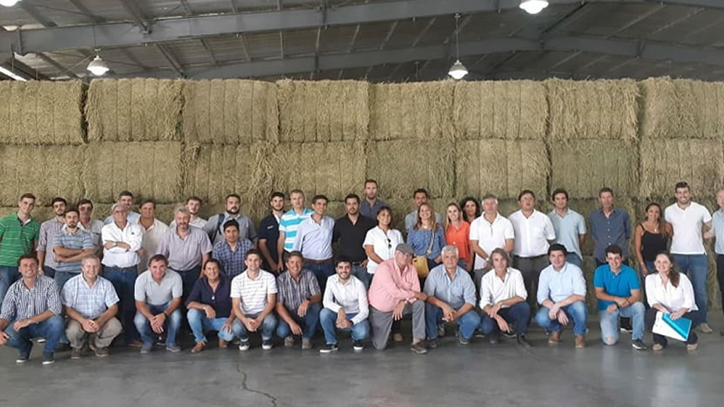 San Luis apuesta fuerte a la alfalfa con un proyecto a 10 años
