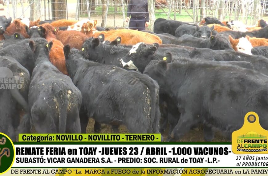 Toay: Remate Feria de Vicar Ganadera S.A. – Jueves 23 / Abril / 2020 –