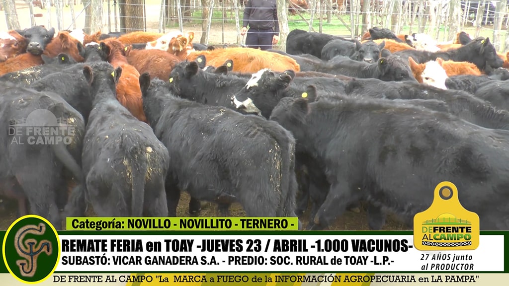 Toay: Remate Feria de Vicar Ganadera S.A.  – Jueves 23 / Abril / 2020 –