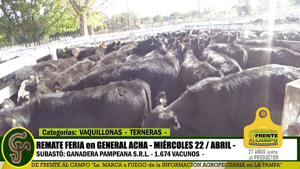 General Acha: Remate Feria de Ganadera Pampeana S.R.L. – Miércoles 22 / Abril / 2020 –