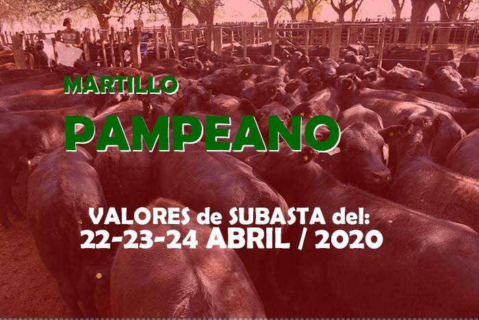 Martillo Pampeano: Valores de los Remates Ferias del 22 al 24 de Abril de 2020