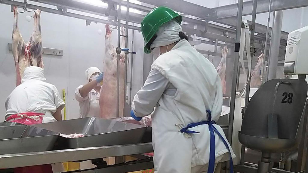 Los trabajadores de la carne acordaron un aumento salarial del 28 %