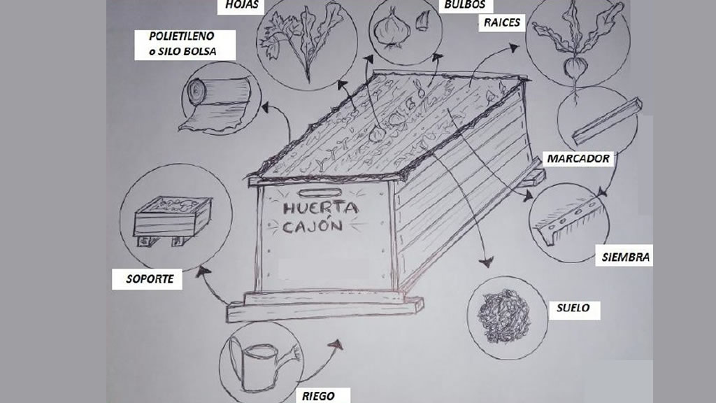 Huerta cajón