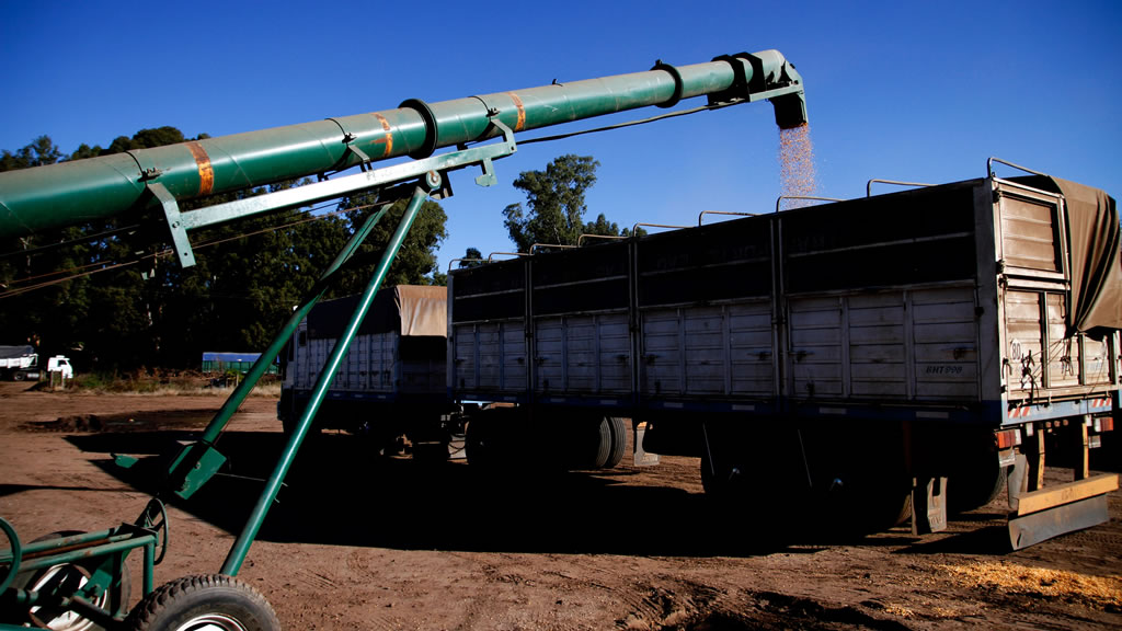 El CAS acordó un protocolo sanitario para el transporte terrestre de alimentos