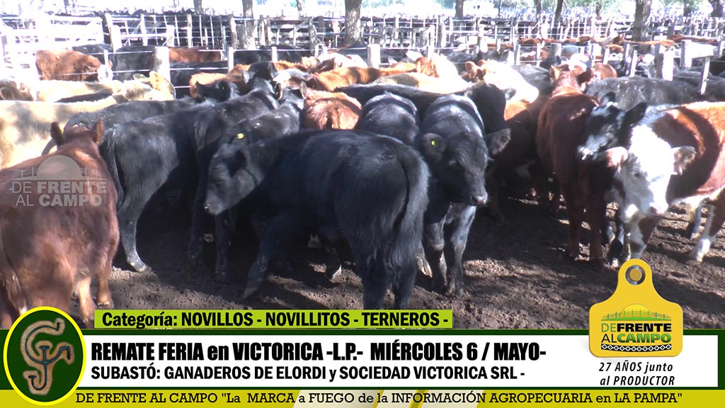 Victorica: Remate Feria de Ganaderos de Elordi y Sociedad Victorica S.R.L. -Mié. 6 / Mayo / 2020 -.