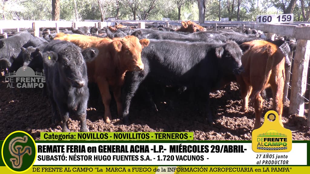 General Acha: Remate Feria de Néstor Hugo Fuentes S.A. – Miércoles 29 / Abril / 2020 -.