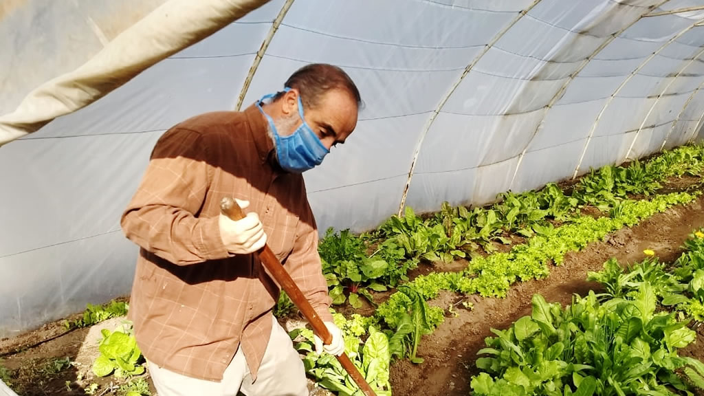 El trabajo del ProHuerta en La Pampa durante la cuarentena