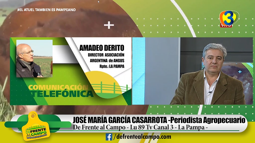 Entrevista: Amadeo Derito – Director de Asociación Argentina de Angus