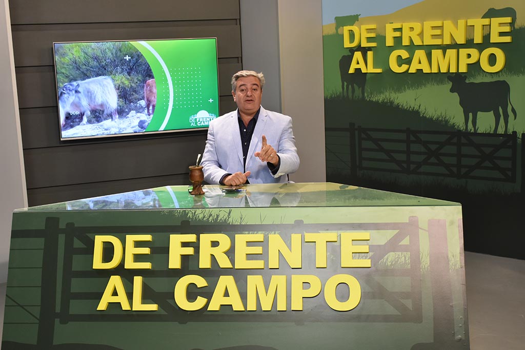 DFC en Canal 3 / Vivo: Viernes 05 / Junio 2020