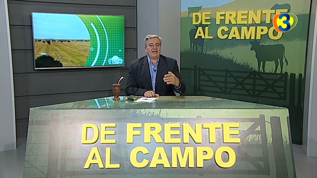 DFC en Canal 3 / Vivo: Jueves 28 / Mayo 2020