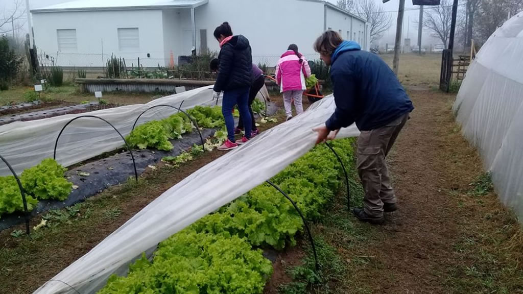 Cuatro labores claves en la Huerta de Invierno