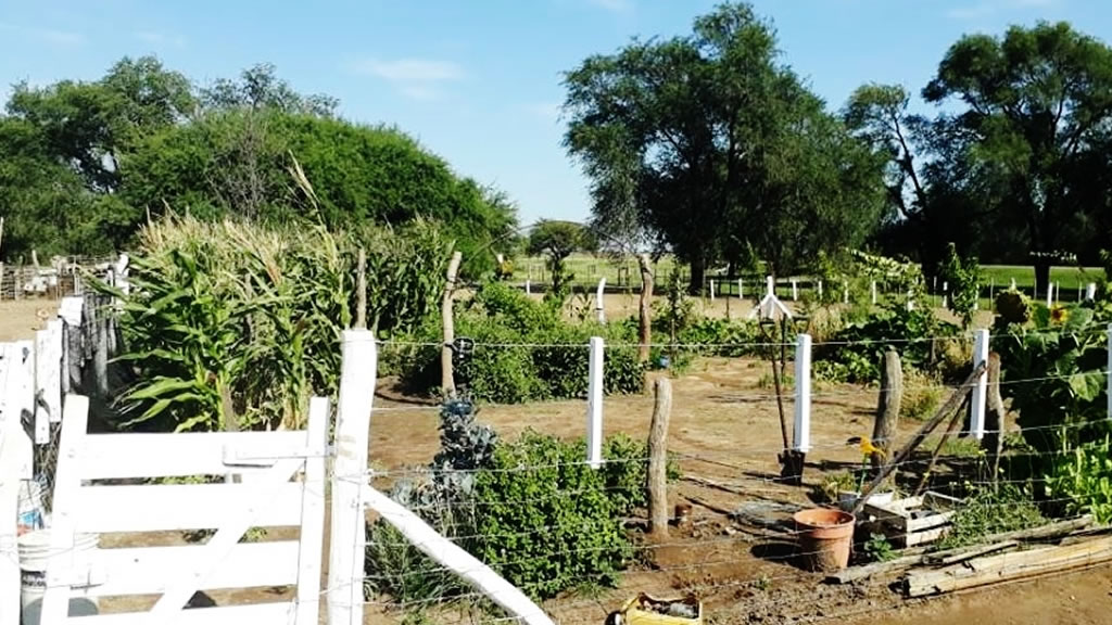 Junio y julio: etapa para comenzar a planificar la Huerta primavera-verano