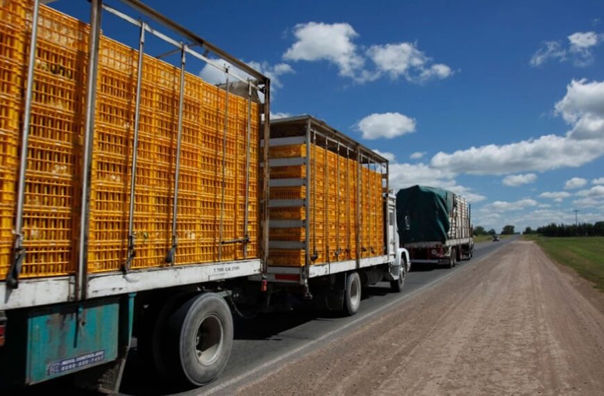 Senasa modificó las condiciones sanitarias para el transporte de animales