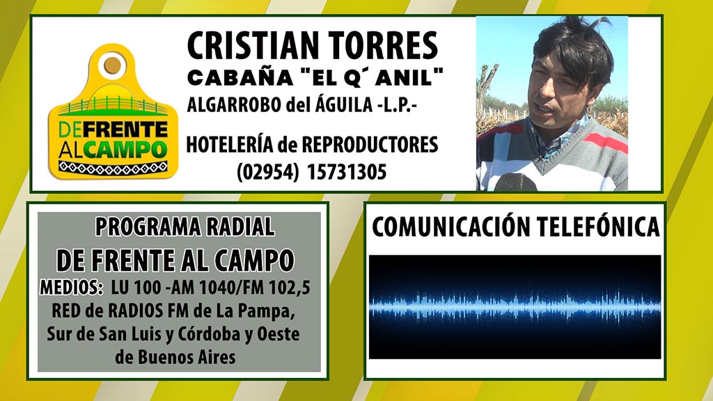 Entrevista: Cristian Torres nos explicó la implementación de la Hotelería para reproductores