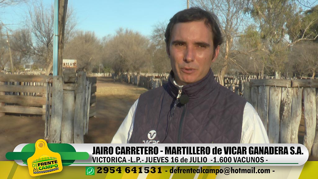Entrevista: Jairo Carretero de Vicar Ganadera dialogó con De Frente al Campo