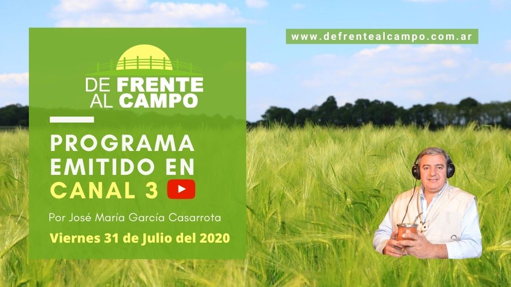 DFC en Canal 3 / Vivo: Viernes 31 / Julio 2020