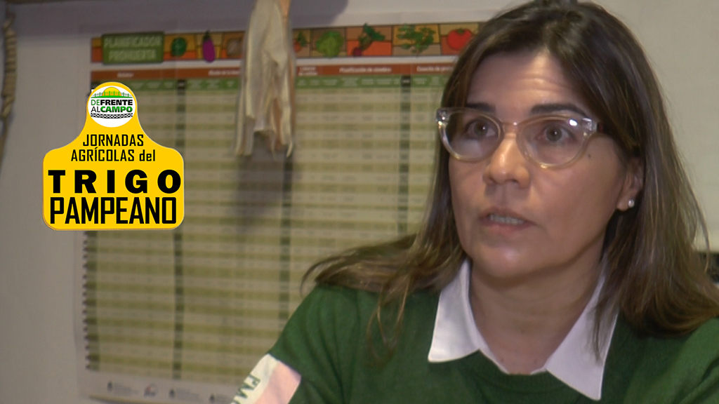 Entrevista: Jornada Trigo LP 2020 – Cecilia Cardoso –