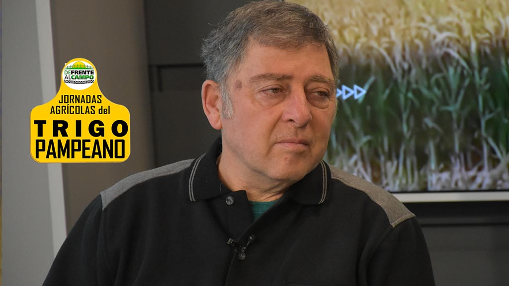 Entrevista: Jornada Trigo LP 2020 – Alberto Quiroga –