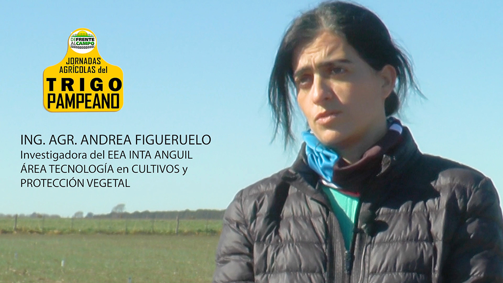Entrevista: Andrea Figueruelo nos explicó los avances tecnológicos en Trigo