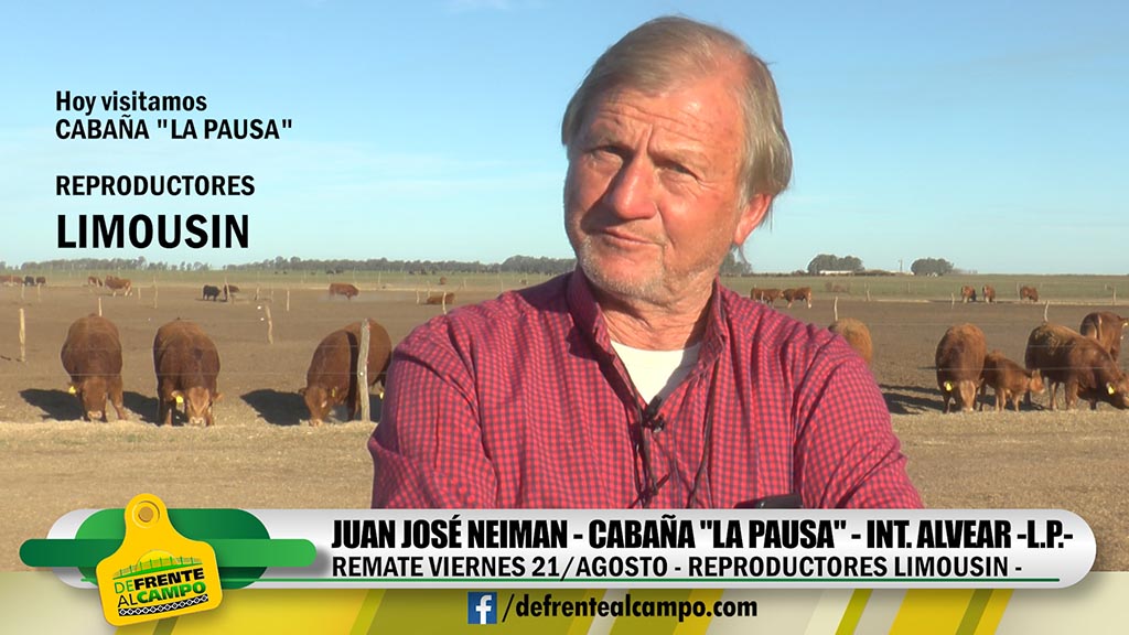 Entrevista: Cabaña La Pausa de Neiman anunció remate de sus reproductores Limousin