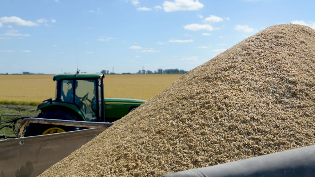 Brasil importará arroz de Argentina y se venderá con la “marca” del Gobierno para abastecer a las zonas afectadas por las inundaciones