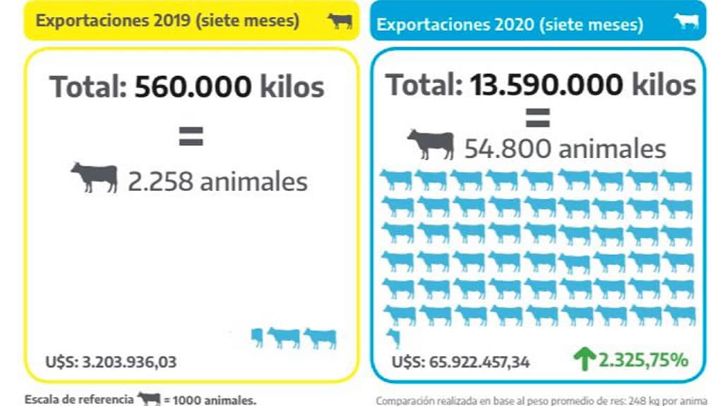 Las exportaciones de carne bovina a Estados Unidos crecieron el 2325% durante los primeros 7 meses del 2020