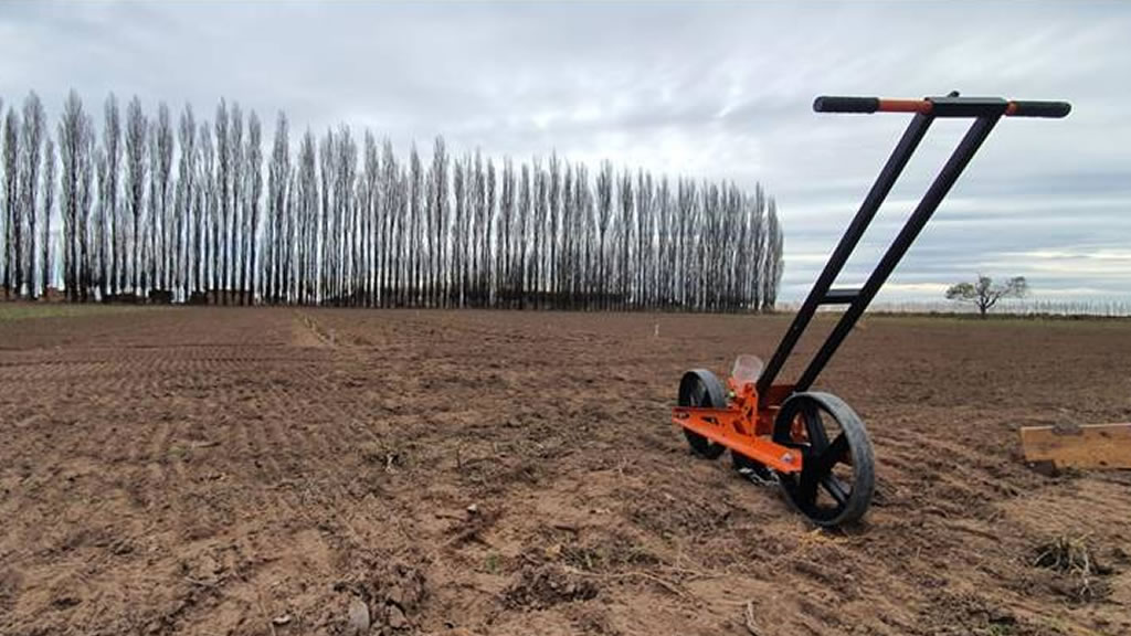 Ensayo de garbanzos en el área bajo riego de 25 de Mayo