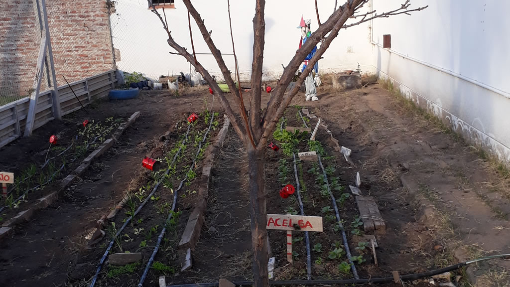 Los Árboles en la Huerta: Frutales