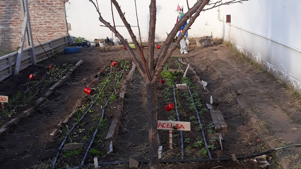 Los Árboles en la Huerta: Frutales