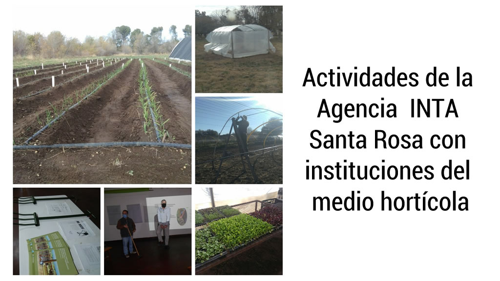 Actividades de la Agencia INTA Santa Rosa con instituciones del medio hortícola