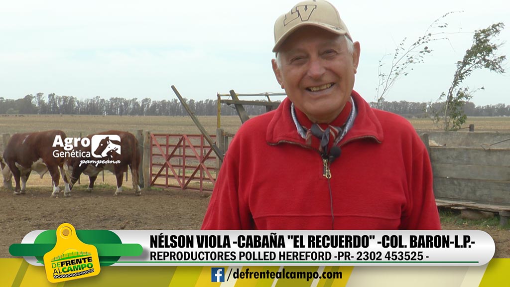 Entrevista: Nelson Viola – Cabaña «El Recuerdo»