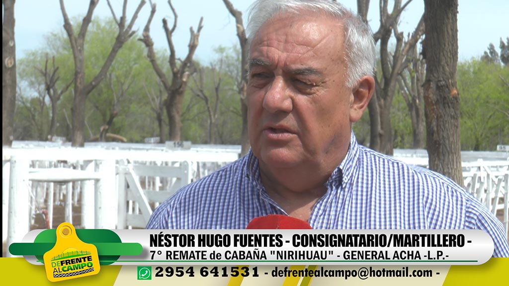Entrevista: Néstor Fuentes nos describió el exitoso remate de Nirihuau