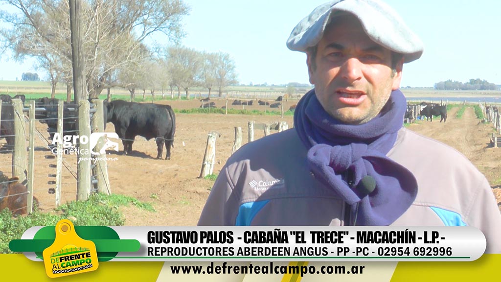 Entrevista: Gustavo Palos nos presenta el Angus de Cabaña «El Trece»