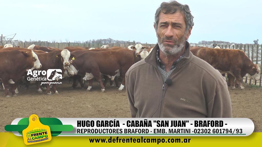 Entrevista: Hugo García nos presento los Braford de Cabaña «San Juan»