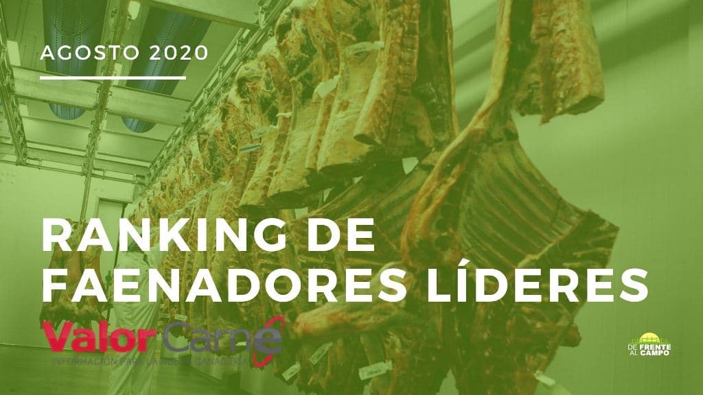 Quiénes fueron los principales faenadores de agosto 2020