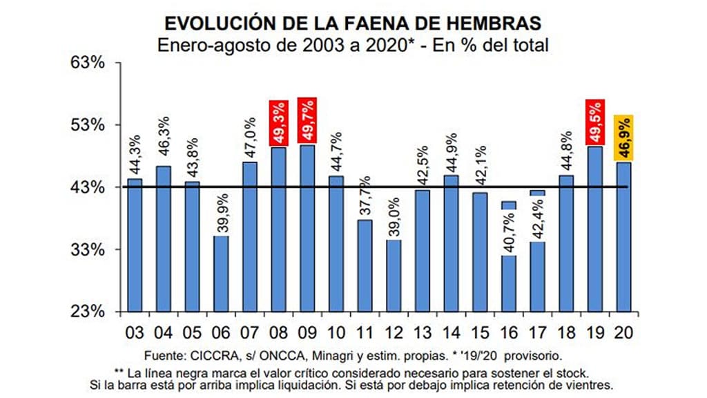 Volvió a caer la participación de hembras en la faena: alcanzó un niveles similares a los de 2018