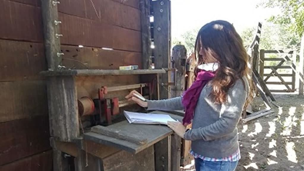 «Ya no debería ser raro ver una chica trabajar en el campo»: cumple un año la red que une a 110 agrónomas de todo el país
