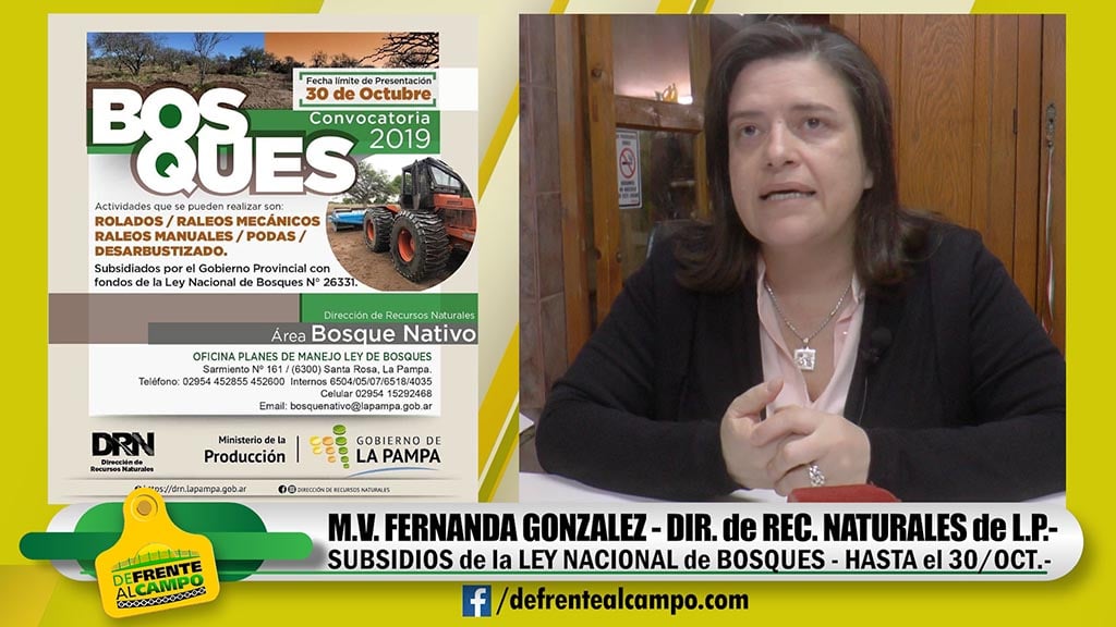 Entrevista: Fernanda González -Directora de Recursos Naturales de L.P.-