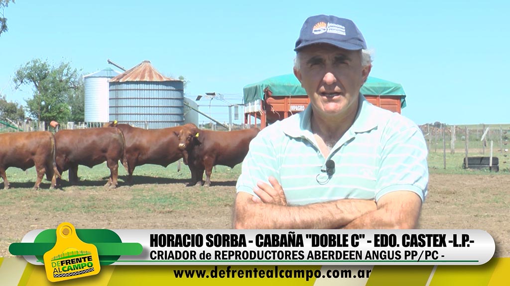 Entrevista: Horacio Sorba – Cabaña «Doble C»