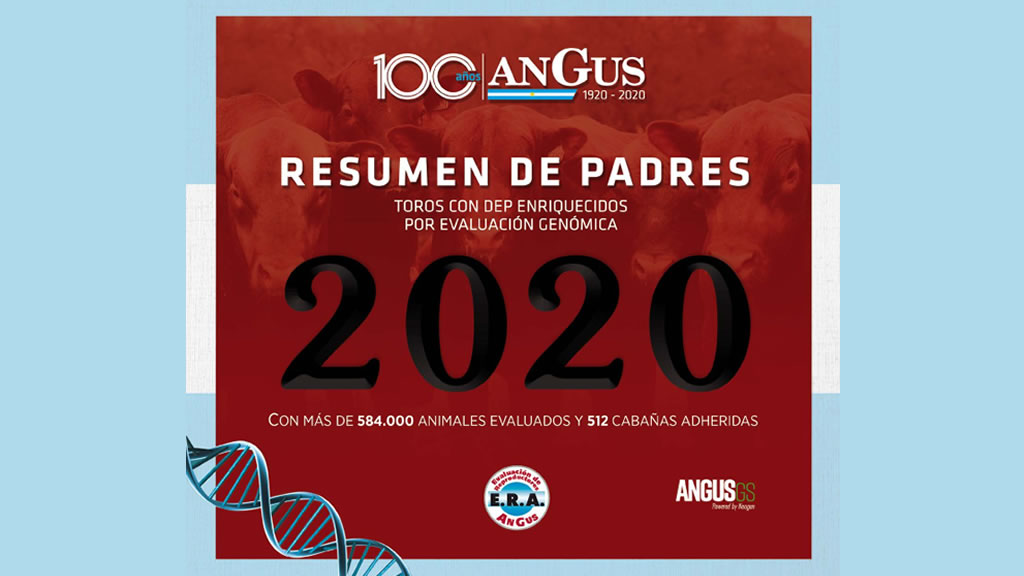 Resumen de Padres Angus 2020