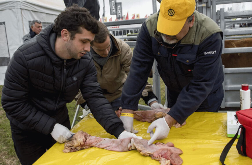 Todo el cronograma de Acción Ganadera: capacitaciones priorizando “El qué y el cómo” hacer.